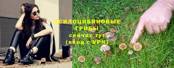 тгк Алексеевка