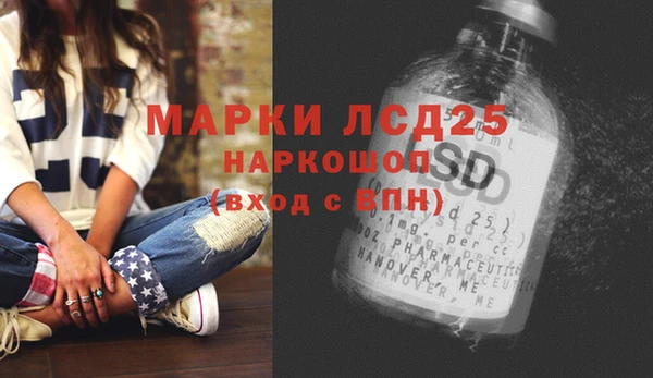 a pvp Алзамай